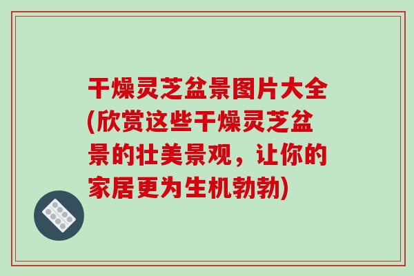 干燥灵芝盆景图片大全(欣赏这些干燥灵芝盆景的壮美景观,让你的家居更为生机勃勃)
