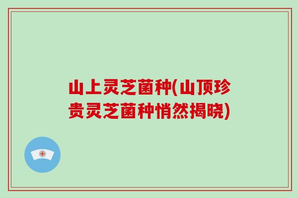 山上灵芝菌种(山顶珍贵灵芝菌种悄然揭晓)
