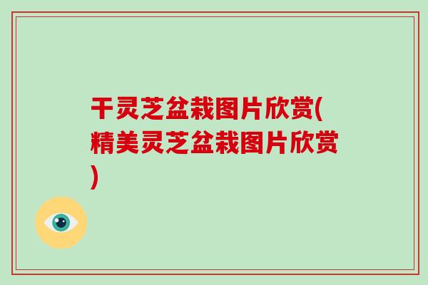 干灵芝盆栽图片欣赏(精美灵芝盆栽图片欣赏)