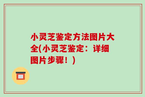小灵芝鉴定方法图片大全(小灵芝鉴定:详细图片步骤!)
