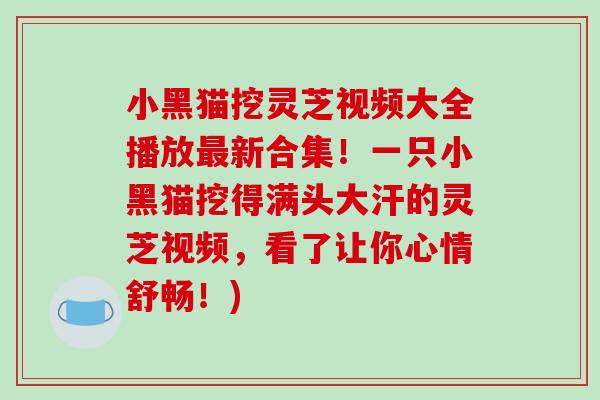 小黑猫挖灵芝视频大全播放最新合集！一只小黑猫挖得满头大汗的灵芝视频，看了让你心情舒畅！)