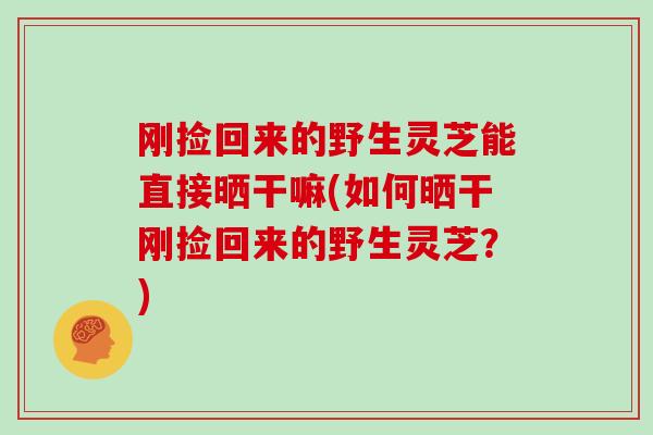 刚捡回来的野生灵芝能直接晒干嘛(如何晒干刚捡回来的野生灵芝？)