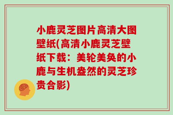 小鹿灵芝图片高清大图壁纸(高清小鹿灵芝壁纸下载：美轮美奂的小鹿与生机盎然的灵芝珍贵合影)