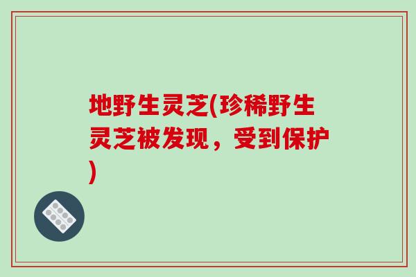 地野生灵芝(珍稀野生灵芝被发现,受到保护)