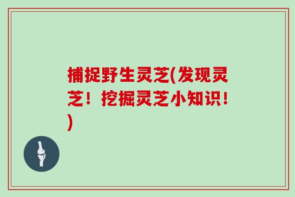 捕捉野生灵芝(发现灵芝!挖掘灵芝小知识!)