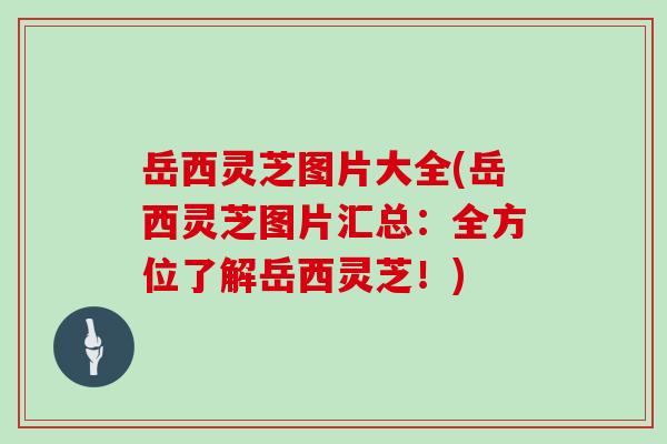 岳西灵芝图片大全(岳西灵芝图片汇总：全方位了解岳西灵芝！)