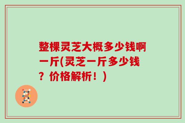 整棵灵芝大概多少钱啊一斤(灵芝一斤多少钱?价格解析!)