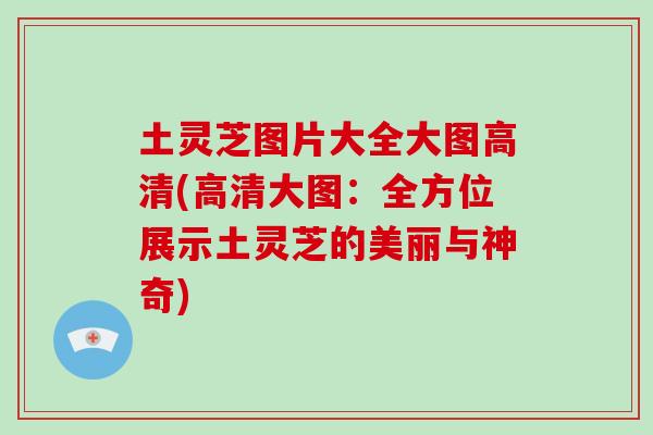 土灵芝图片大全大图高清(高清大图:全方位展示土灵芝的美丽与神奇)