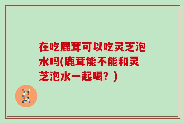 在吃鹿茸可以吃灵芝泡水吗(鹿茸能不能和灵芝泡水一起喝?)