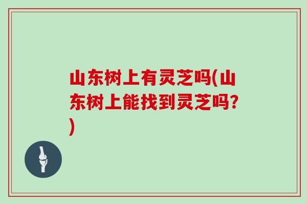 山东树上有灵芝吗(山东树上能找到灵芝吗?)