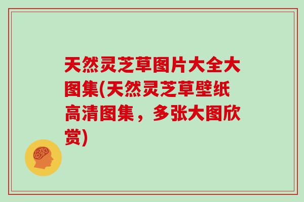 天然灵芝草图片大全大图集(天然灵芝草壁纸高清图集,多张大图欣赏)