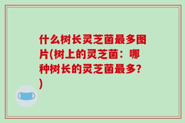 什么树长灵芝菌最多图片(树上的灵芝菌：哪种树长的灵芝菌最多？)