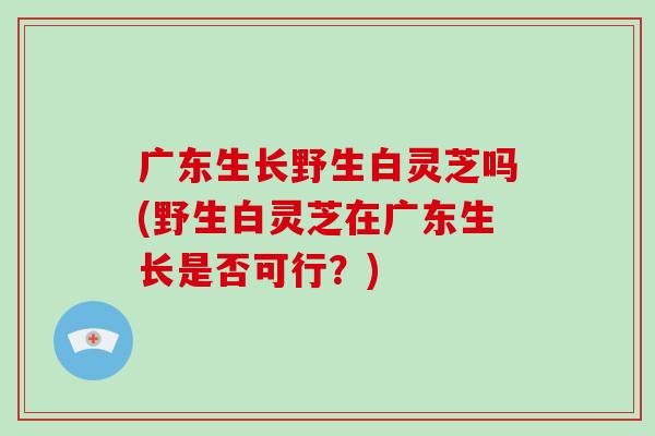 广东生长野生白灵芝吗(野生白灵芝在广东生长是否可行?)