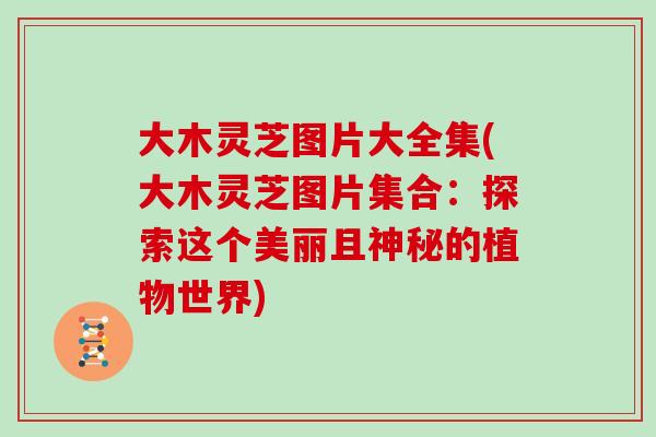 大木灵芝图片大全集(大木灵芝图片集合:探索这个美丽且神秘的植物世界)
