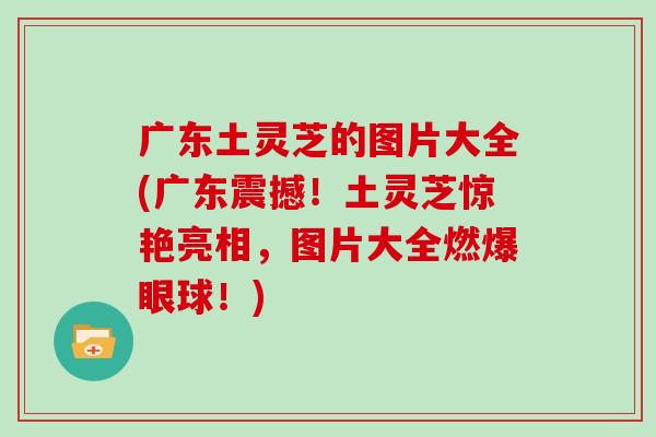 广东土灵芝的图片大全(广东震撼！土灵芝惊艳亮相，图片大全燃爆眼球！)