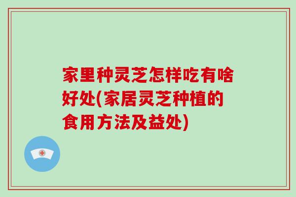 家里种灵芝怎样吃有啥好处(家居灵芝种植的食用方法及益处)