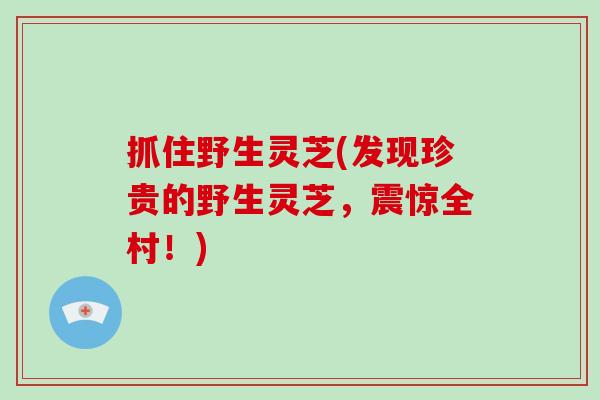 抓住野生灵芝(发现珍贵的野生灵芝,震惊全村!)