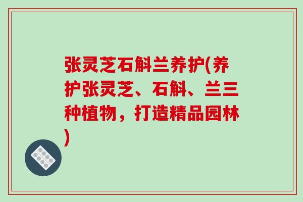 张灵芝石斛兰养护(养护张灵芝、石斛、兰三种植物,打造精品园林)