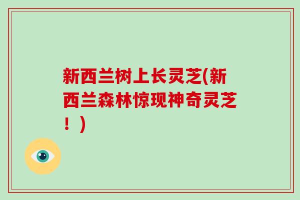 新西兰树上长灵芝(新西兰森林惊现神奇灵芝!)