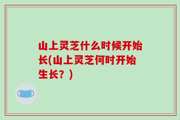 山上灵芝什么时候开始长(山上灵芝何时开始生长?)