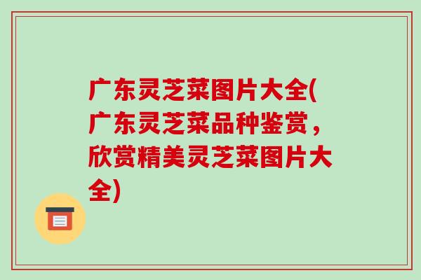 广东灵芝菜图片大全(广东灵芝菜品种鉴赏，欣赏精美灵芝菜图片大全)