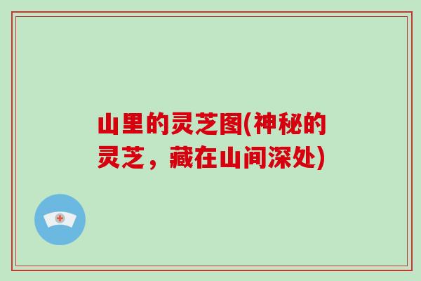 山里的灵芝图(神秘的灵芝,藏在山间深处)