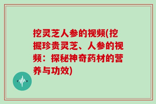 挖灵芝人参的视频(挖掘珍贵灵芝、人参的视频:探秘神奇药材的营养与功效)