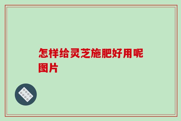 怎样给灵芝施肥好用呢图片
