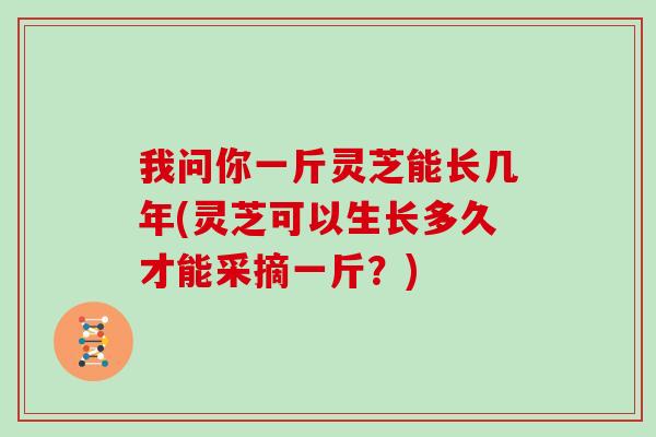 我问你一斤灵芝能长几年(灵芝可以生长多久才能采摘一斤?)
