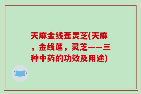天麻金线莲灵芝(天麻,金线莲,灵芝——三种中药的功效及用途)