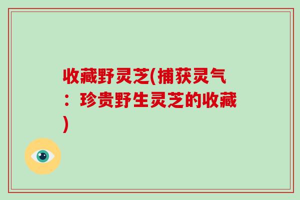 收藏野灵芝(捕获灵气：珍贵野生灵芝的收藏)