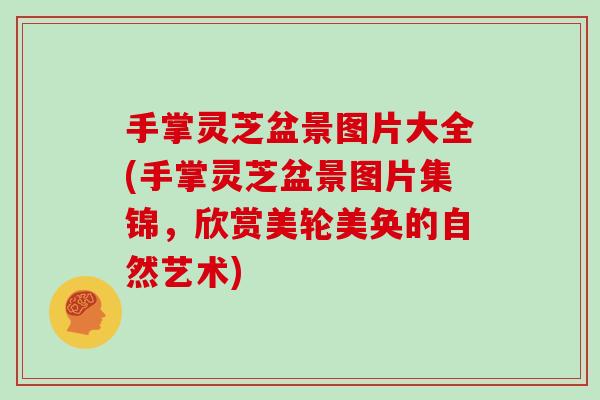 手掌灵芝盆景图片大全(手掌灵芝盆景图片集锦，欣赏美轮美奂的自然艺术)