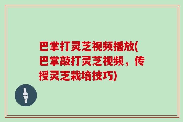 巴掌打灵芝视频播放(巴掌敲打灵芝视频,传授灵芝栽培技巧)