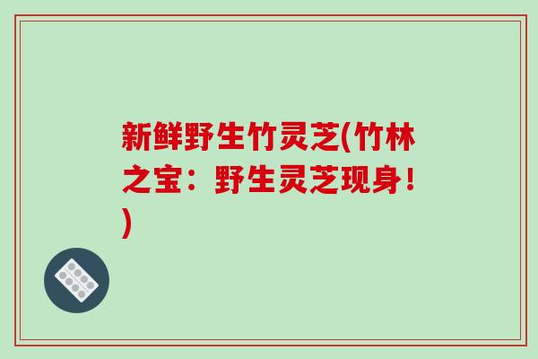 新鲜野生竹灵芝(竹林之宝:野生灵芝现身!)