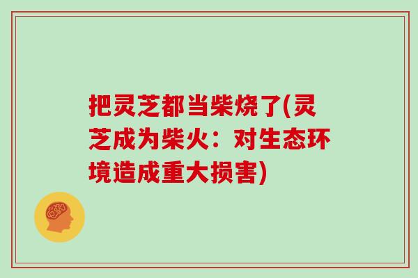 把灵芝都当柴烧了(灵芝成为柴火:对生态环境造成重大损害)