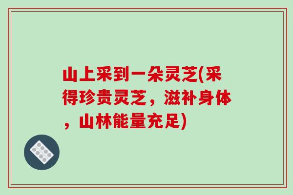 山上采到一朵灵芝(采得珍贵灵芝,滋补身体,山林能量充足)