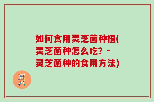 如何食用灵芝菌种植(灵芝菌种怎么吃?- 灵芝菌种的食用方法)