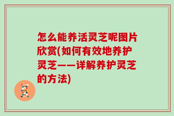 怎么能养活灵芝呢图片欣赏(如何有效地养护灵芝——详解养护灵芝的方法)
