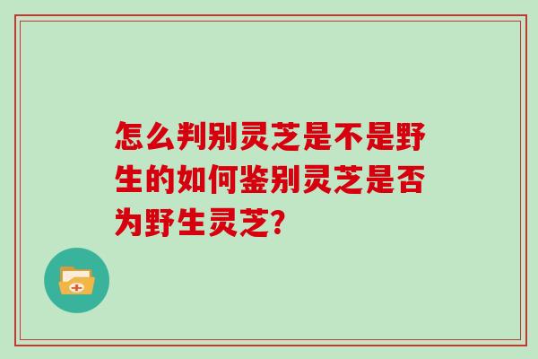 怎么判别灵芝是不是野生的如何鉴别灵芝是否为野生灵芝?