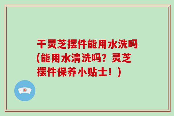 干灵芝摆件能用水洗吗(能用水清洗吗?灵芝摆件保养小贴士!)