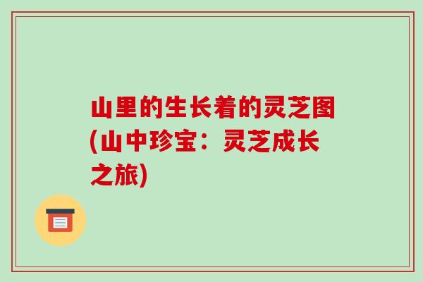 山里的生长着的灵芝图(山中珍宝:灵芝成长之旅)