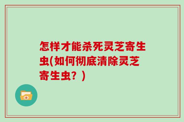 怎样才能杀死灵芝寄生虫(如何彻底清除灵芝寄生虫?)