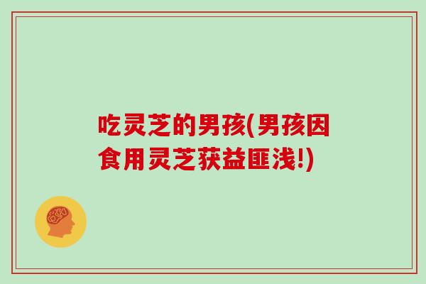 吃灵芝的男孩(男孩因食用灵芝获益匪浅!)