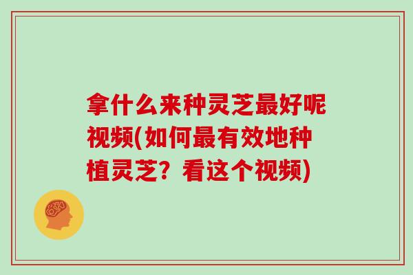 拿什么来种灵芝最好呢视频(如何最有效地种植灵芝？看这个视频)