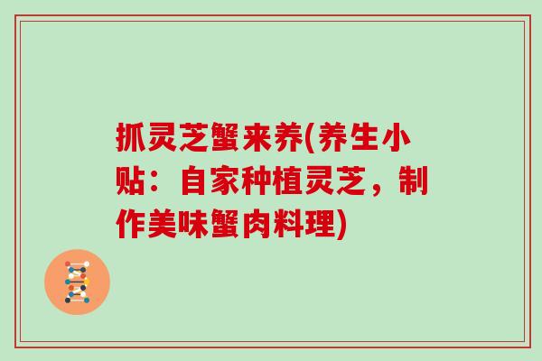 抓灵芝蟹来养(养生小贴:自家种植灵芝,制作美味蟹肉料理)