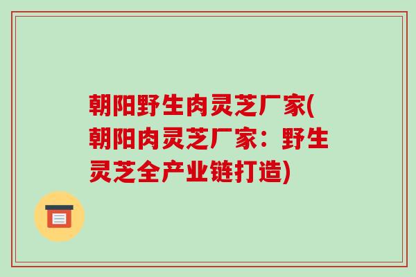 朝阳野生肉灵芝厂家(朝阳肉灵芝厂家:野生灵芝全产业链打造)