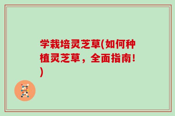 学栽培灵芝草(如何种植灵芝草,全面指南!)