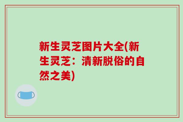 新生灵芝图片大全(新生灵芝:清新脱俗的自然之美)