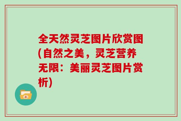 全天然灵芝图片欣赏图(自然之美,灵芝营养无限:美丽灵芝图片赏析)