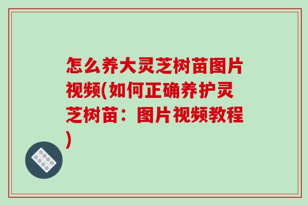 怎么养大灵芝树苗图片视频(如何正确养护灵芝树苗：图片视频教程)